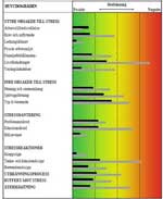 StressProfil-stresshantering-arbetslag-Barbro-Bronsberg